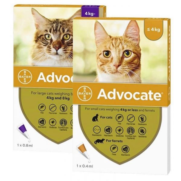 Advocate antiparasitario gatos