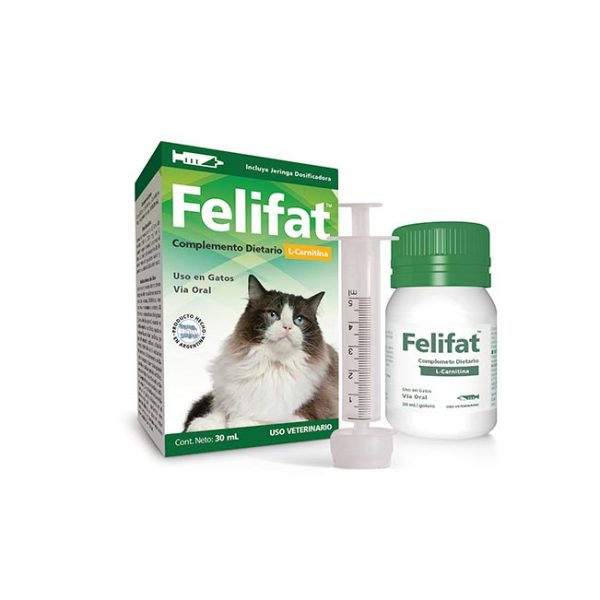 FELIFAT | L- CARNITINA QUEMA GRASAS EN GATOS OBESOS.