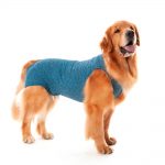 ropa castración perro macho