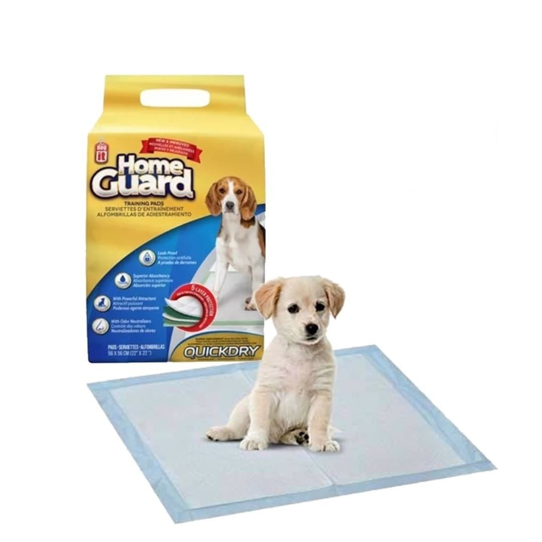 Alfombra Educadora Home Guard Dog It