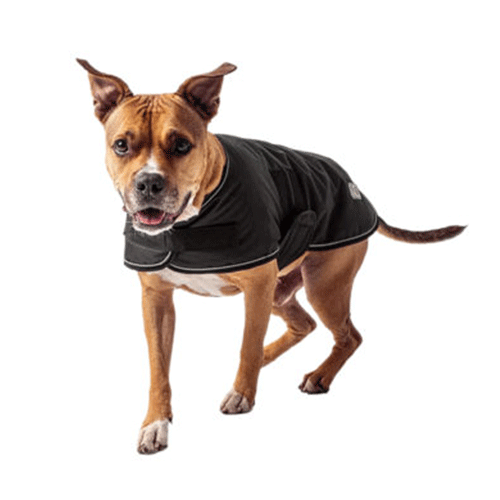 desagüe chocar Rendición GFPET | CAPA IMPERMEABLE NEGRA - Club de Perros y Gatos