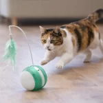 Bola Interactiva Cat Toy