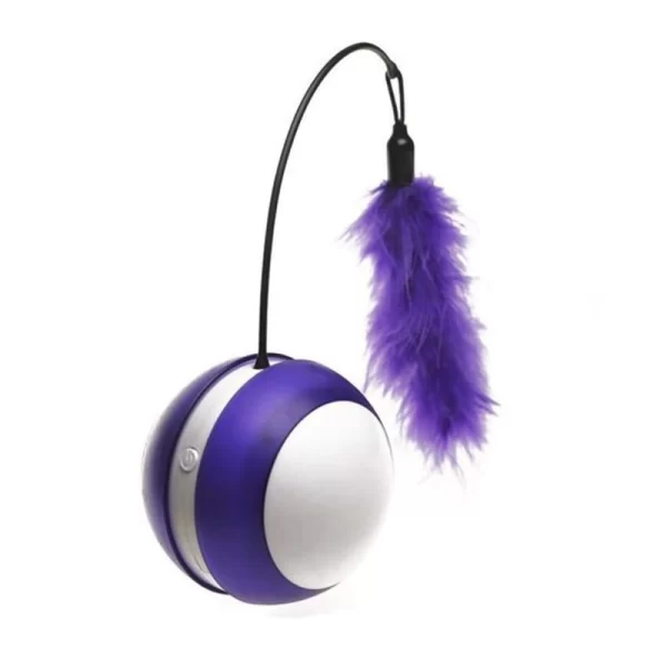 Bola Interactiva Cat Toy