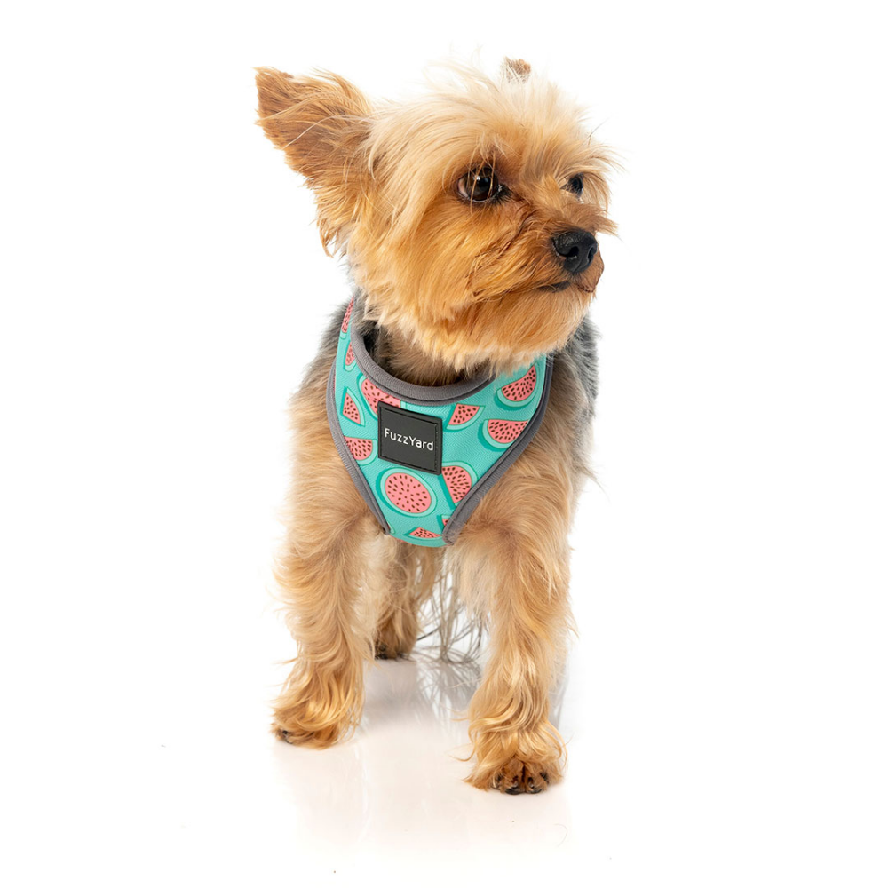 400 Ml Plato Para Perro Fuzzyard Summer Punch 400 Ml Plato Para Perro Fuzzyard Summer Punch