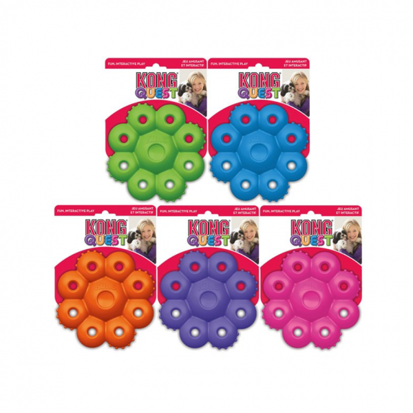 KONG QUEST STAR PODS L
