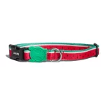 Zeedog Lola Collar