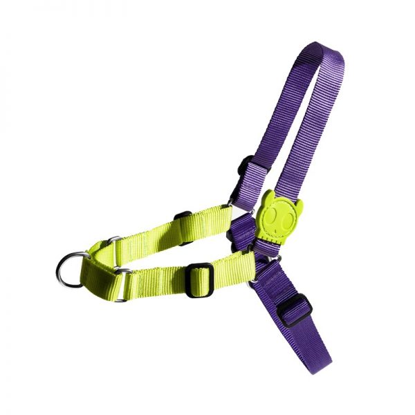 ZEEDOG LIMONADE SOFT-WALK ARNES