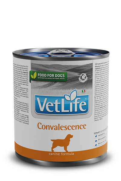 Farmina Vet Life Convalescence para perros 300 g