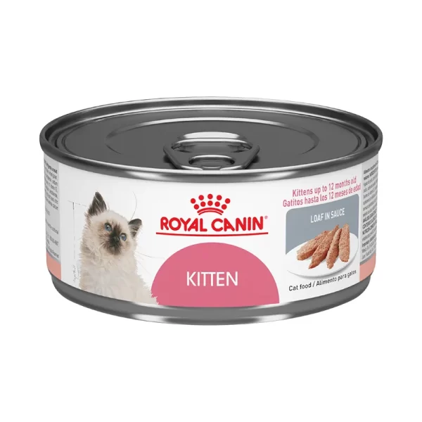 ROYAL CANIN KITTEN LATA 145 GR