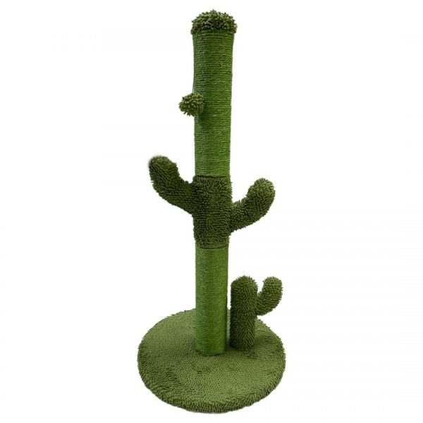 Rascador cactus online