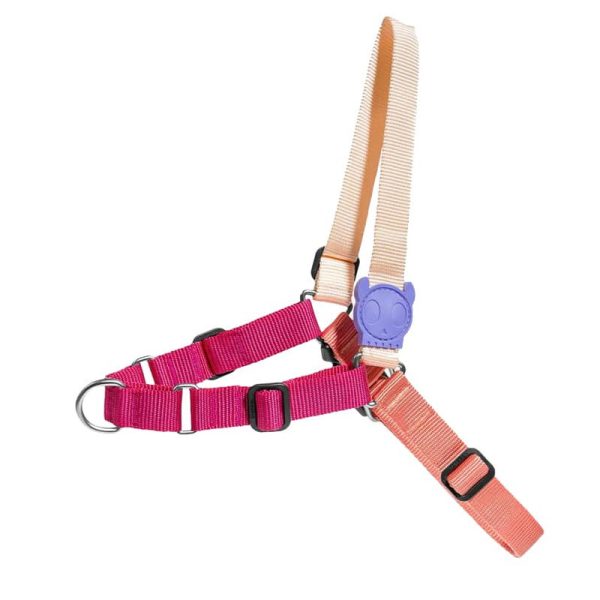 ZEEDOG CINNAMON SOFT-WALK HARNESS