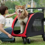 Carro Transportador Run