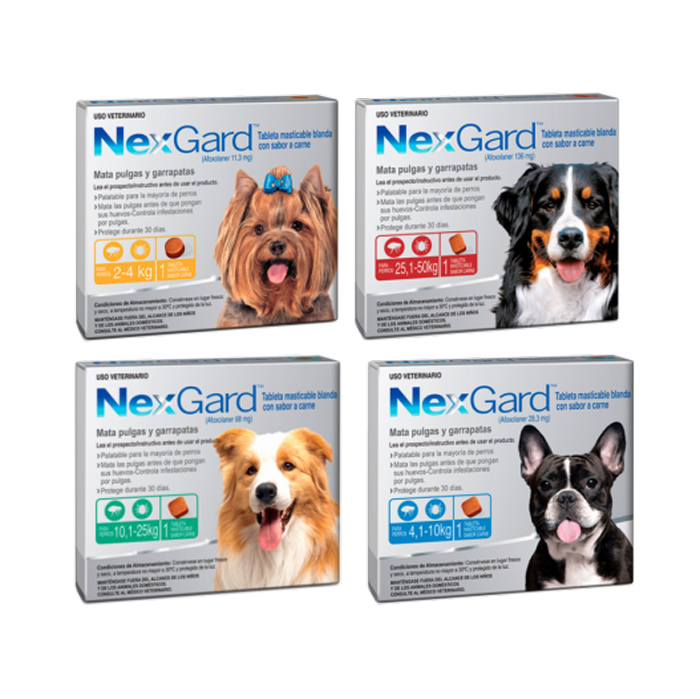 nexgard-club-de-perros-y-gatos