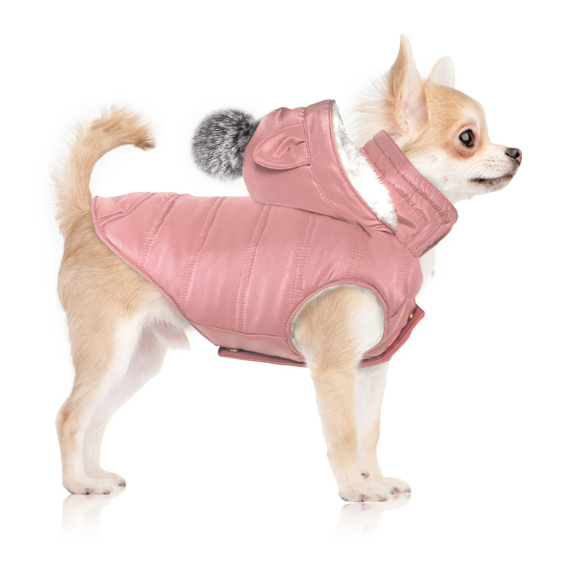 Manteau chien milk and pepper best sale