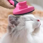 cepillo con botón removedor de pelo