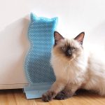 Club P&G Kitty door comber