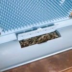 Club P&G Kitty door comber