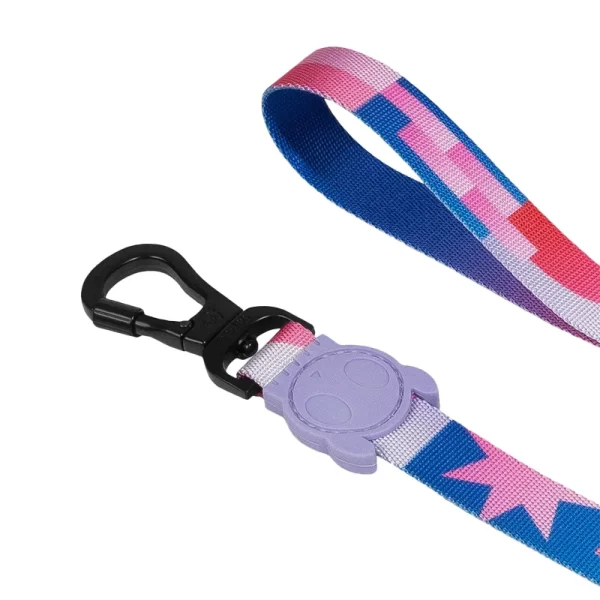 Zeedog Noon leash