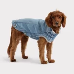 Gfpet | Chaqueta Denim Light Wash