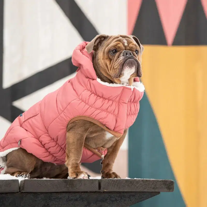 Gfpet Parka Super Puff Verde Rosa