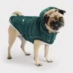 Gfpet | Parka Super Puff Verde Azulado