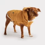 Gfpet | Parka Super Puff Amarilla