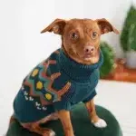 Gfpet | Sweater Heritage Verde Azulado