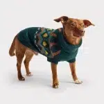 Gfpet | Sweater Heritage Verde Azulado