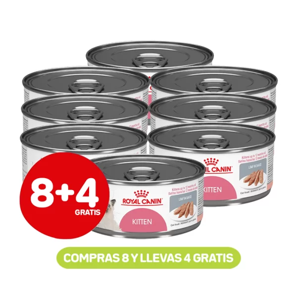 Pack 8+4 Royal Canin Lata Kitten 145 Gr