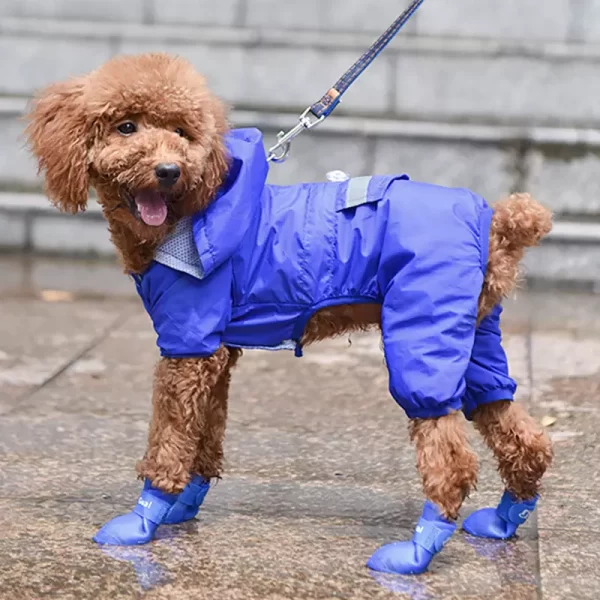 Club P&G Zapatos para Lluvia Azul