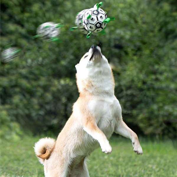 Juguete Pelota de Futbol Con Tiras