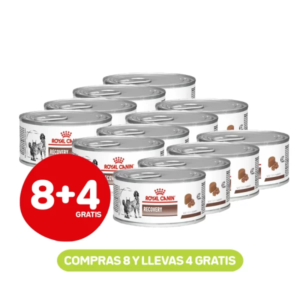 Pack 8+4 Royal Canin Recovery Perros y Gatos Lata 145 GR
