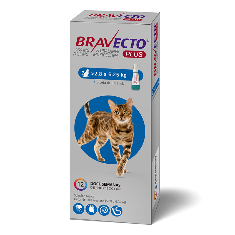 Bravecto Plus 2,8 a 6,25 Kg