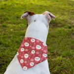 Bandanas navideñas para perros y gatos