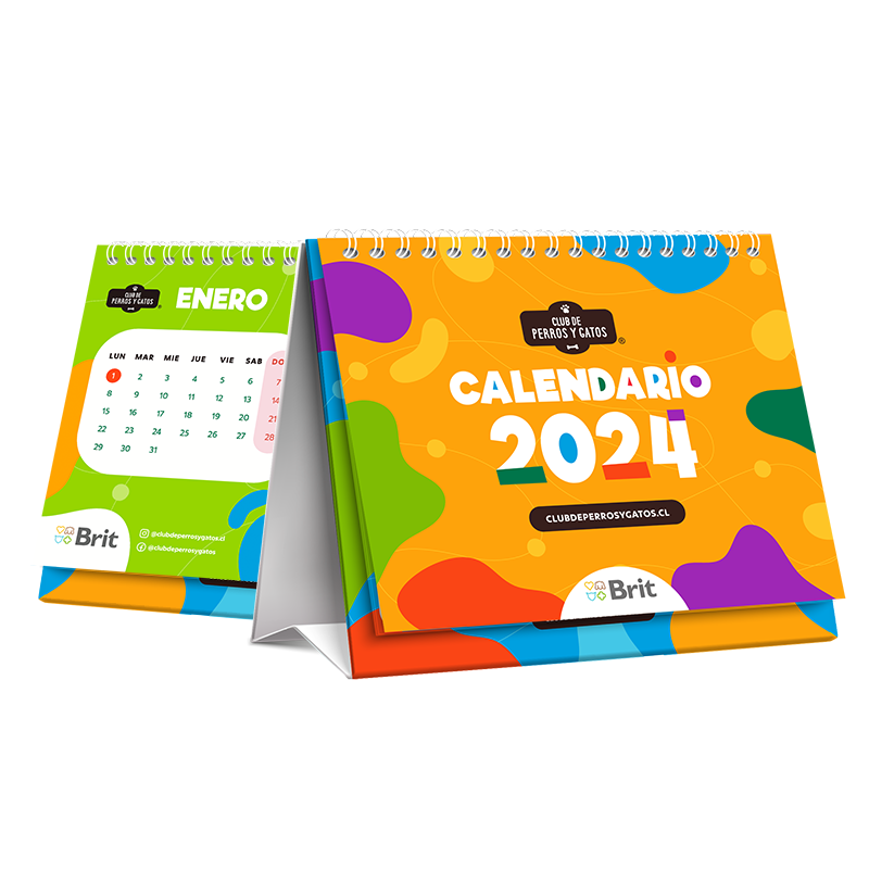 Calendar Club Discount Code 2025 Nadia Valaree
