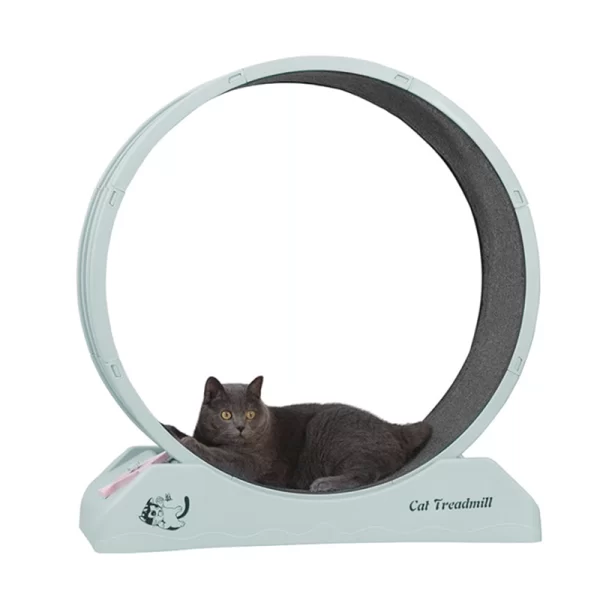 Rueda Para Gatos