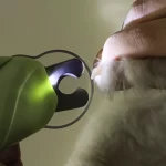 Corta Uñas Led Para Mascota