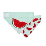 Max & Molly Bandana Watermelon