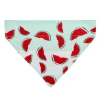 Max & Molly Bandana Watermelon