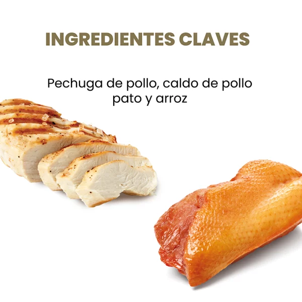 Applaws Lata Gato Pechuga de Pollo Pato con Caldito 70 Gr