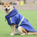 Impermeable Para Mascota