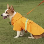 Impermeable Para Mascota