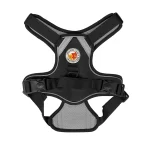 Harness Walking Paws
