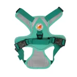 Harness Walking Paws