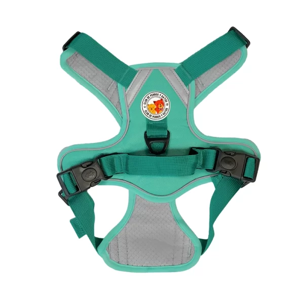 Harness Walking Paws