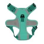 Harness Walking Paws