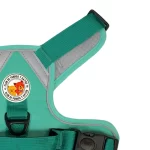 Harness Walking Paws