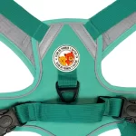 Harness Walking Paws