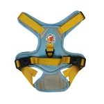 Harness Walking Paws