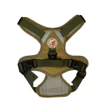 Harness Walking Paws